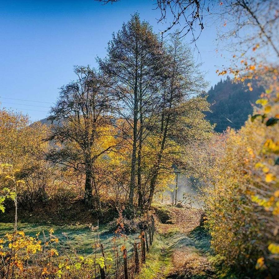 Moulin Des Borderies Bed & Breakfast Singles Bagian luar foto