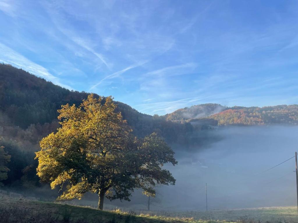 Moulin Des Borderies Bed & Breakfast Singles Bagian luar foto