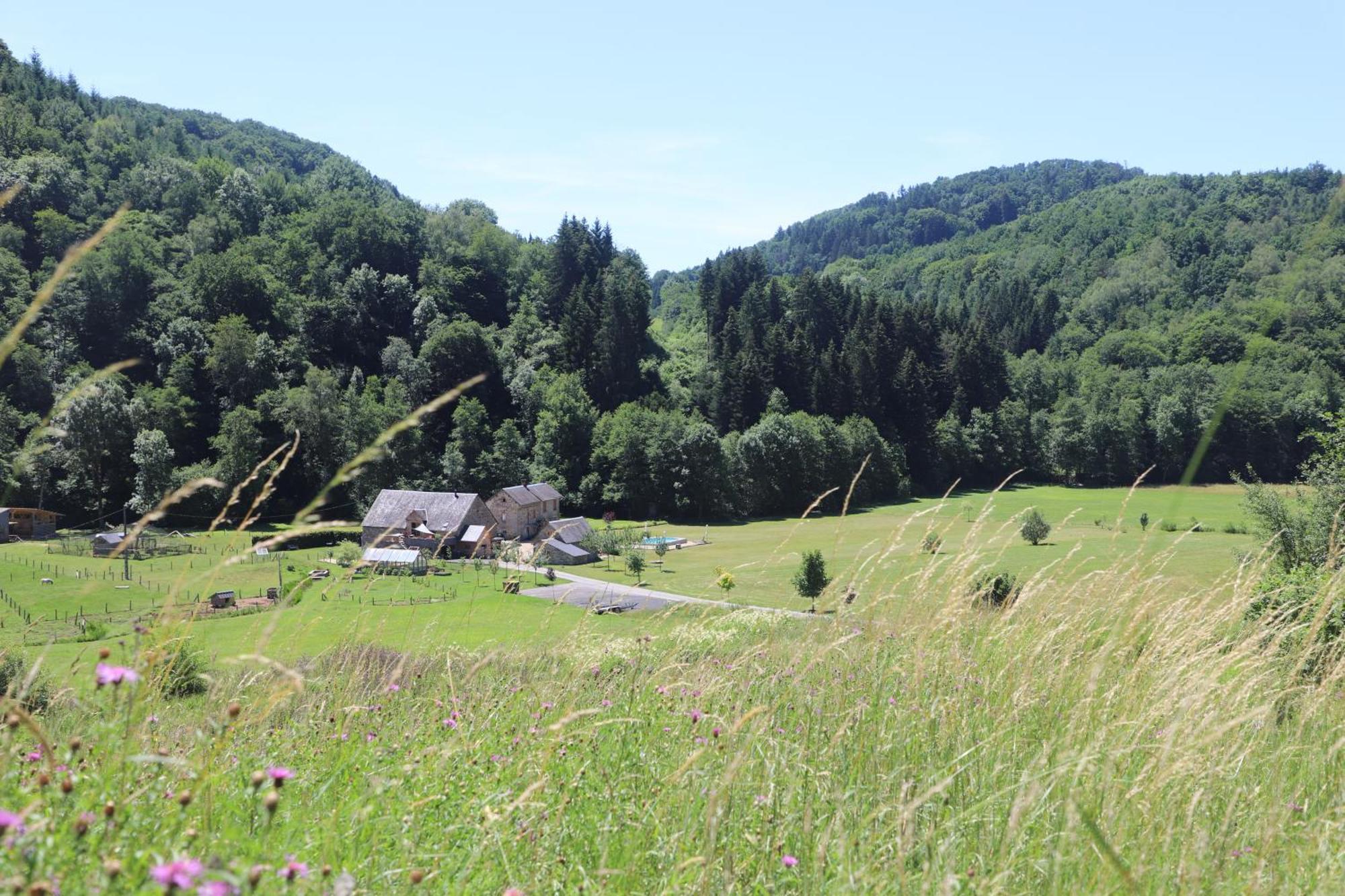 Moulin Des Borderies Bed & Breakfast Singles Bagian luar foto